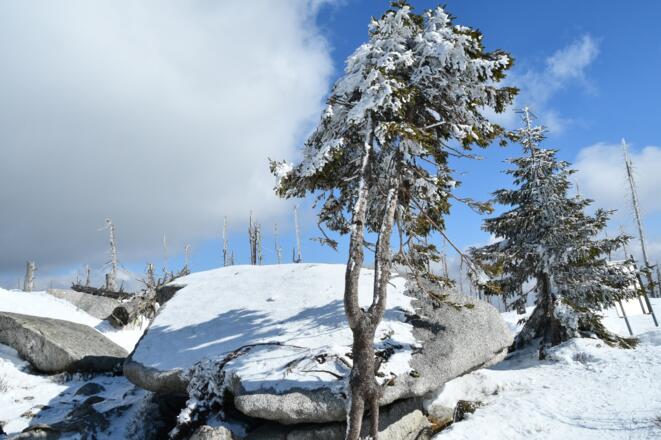 Winterstimmung entlang der Grenze Österreich-Tschechien