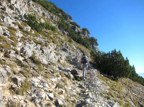 ... ins baumlose Gelände über der Waldgrenze.