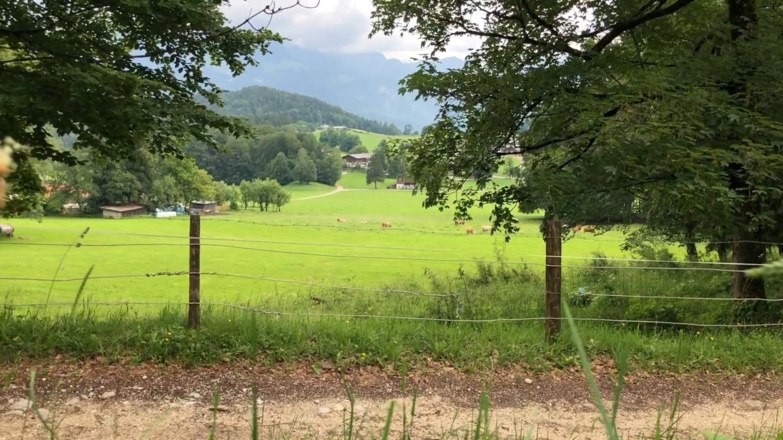 Auf dem Maximiliansreitweg kurz vor dem Ausgangspunkt in Bischofswiesen