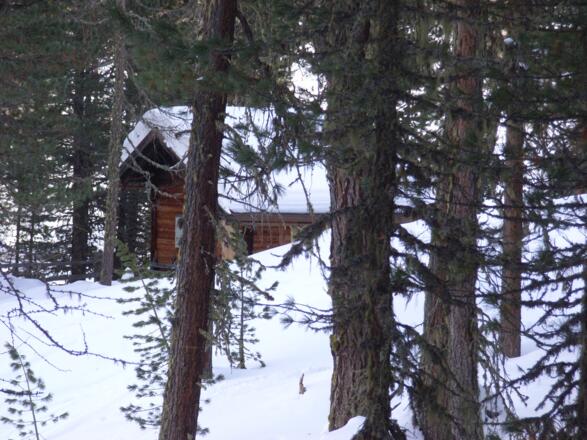 ... und erreichen eine Jagdhütte.