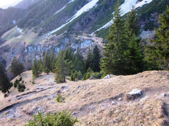 Weiterweg zur Thaurer Alm