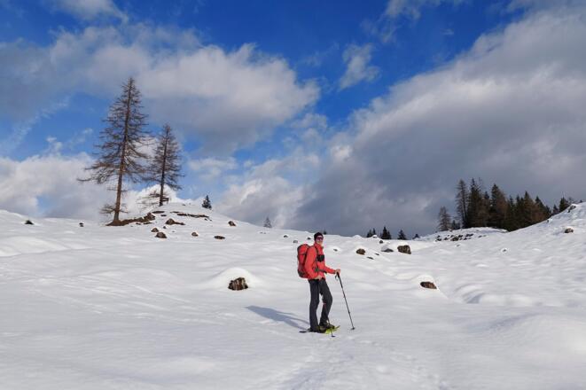 Aufstieg über die Almfläche von der Gnadenalm zum Waldrand entlang der Rodelbahn