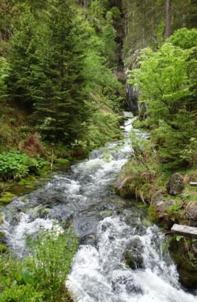 bei der Schwarzenbachquelle