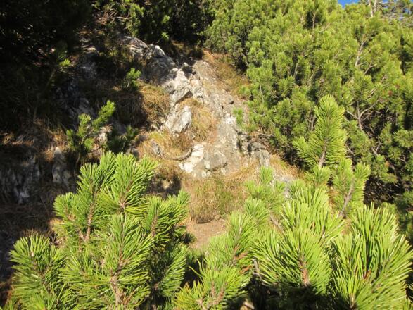 steiler, schmaler Pfad