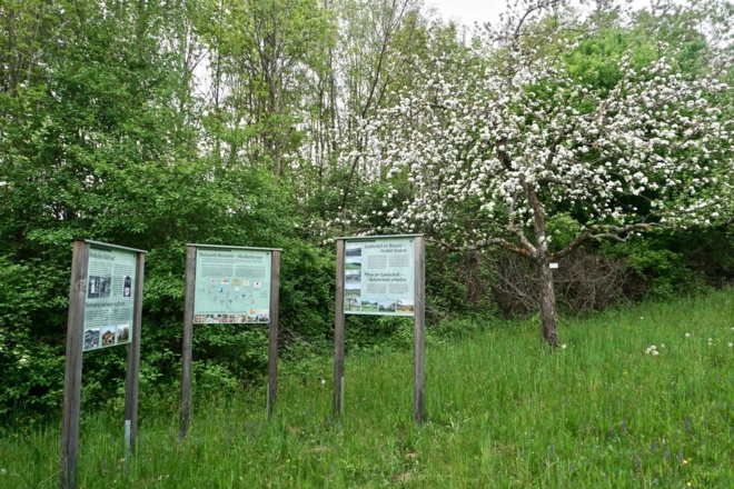 Info-Tafeln im Obstlehrgarten