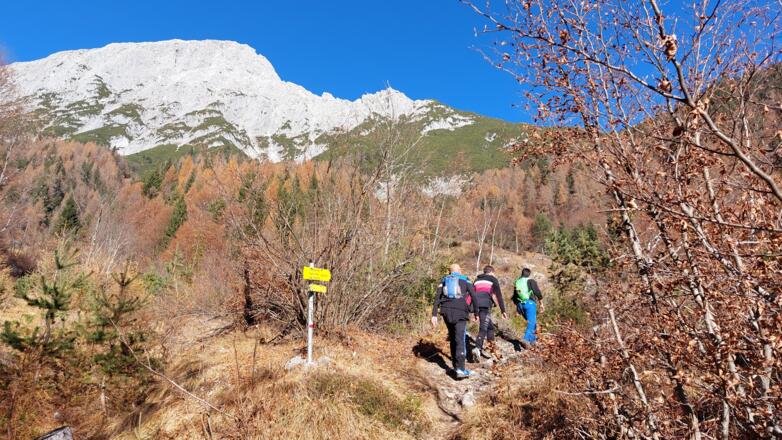 immer weiter am Hintereggensteig
