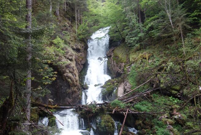 Schwarzenbachfall