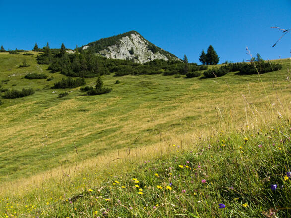 Rückblick von der Rissalm zum Gipfel