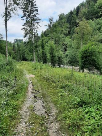 Weg entlang der Großen Mühl