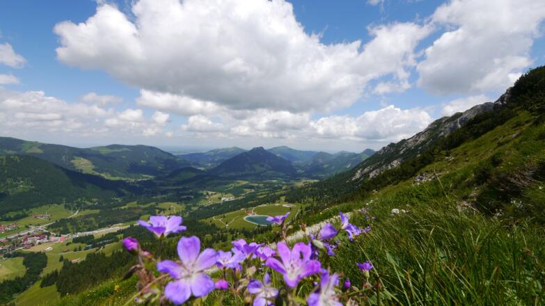 Aussicht über das Ostrachtal