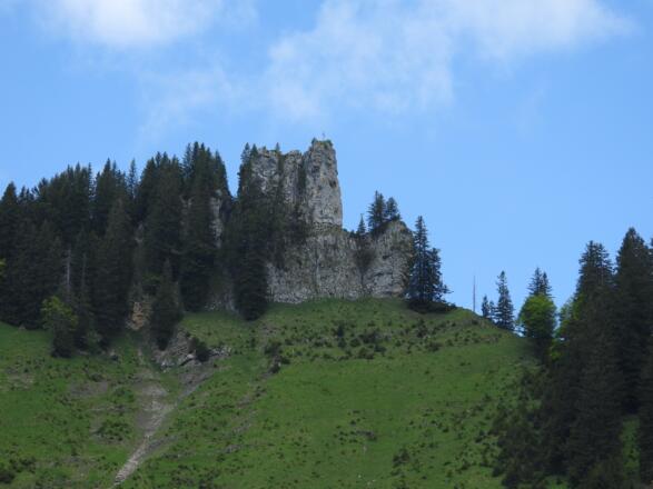 Unser nächstes Ziel: Der Hälekopf