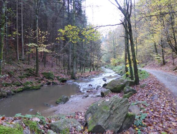 Perlbachtal