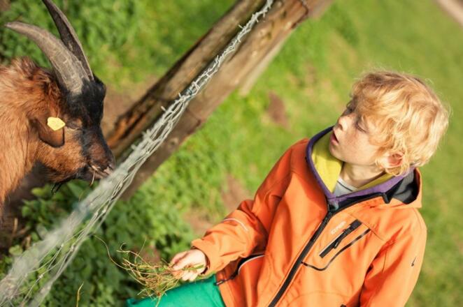 Los geht's - Radrundtour Bauernhofsafari