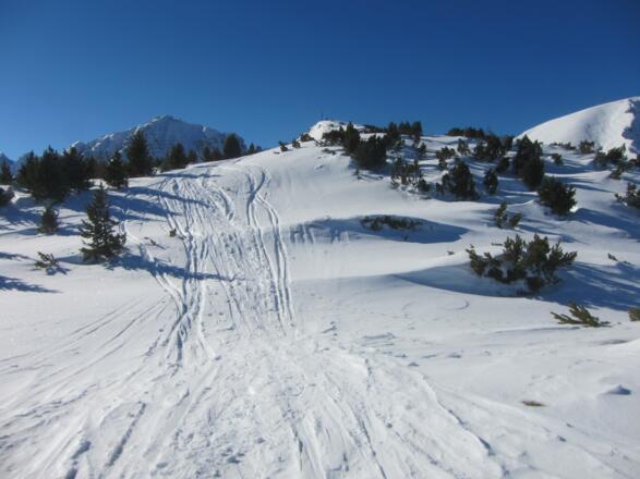 das Gipfelkreuz ist bereits in Sicht