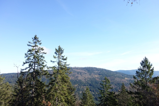 Aussicht vom Burgstein