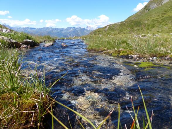 Wormser Höhenweg