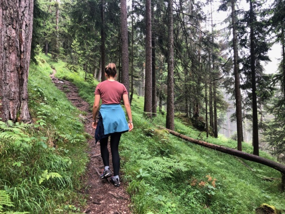 Bald verläuft der Aufstieg über schöne Waldpfade