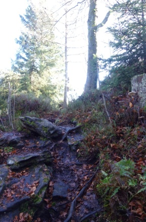 steiniger Pfad zum Rauhen Kulm