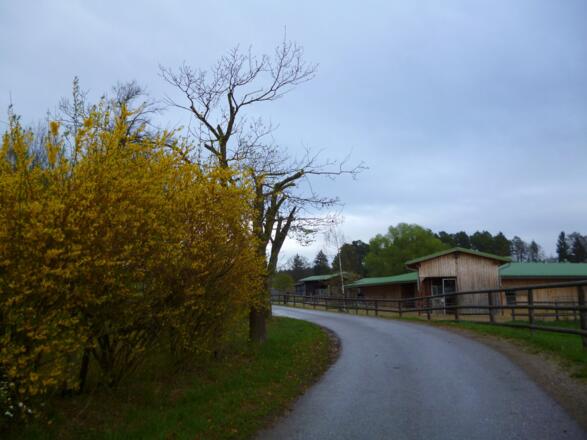 Auf kaum befahrenen Sträßchen wird das Gut Schörghof erreicht.