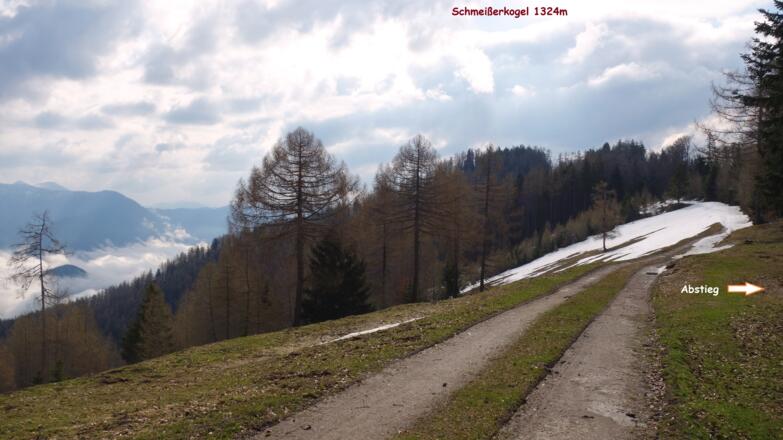 Rieser Alm 1270m, rechts oberen Weg nehmen