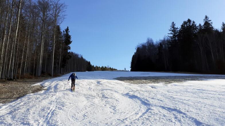 Reischlbergpiste 3