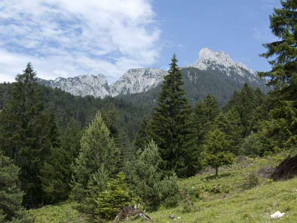 Bei der Abstiegsvariante sieht man vom Falzkopf noch einmal zum Gipfel zurück.