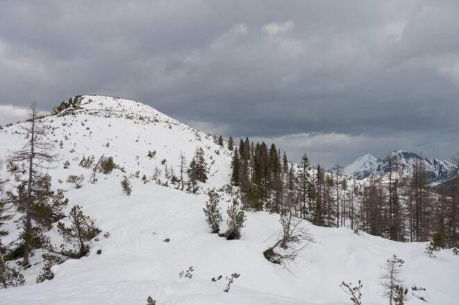 Blick von der Stubhöhe nach Norden in Richtung Leckriedel