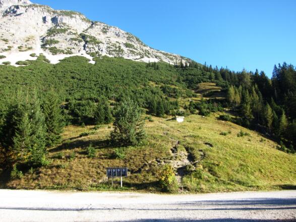 Der markierte Weg hinauf zur Gratschulter führt über Wiesen ...