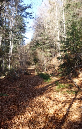tolle Pfade hinauf zum Klausenstein