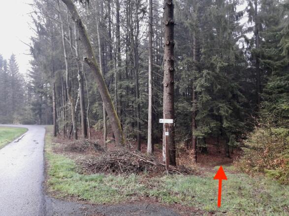 Nach Lanzlberg: Abzweigung Richtung Weingarten