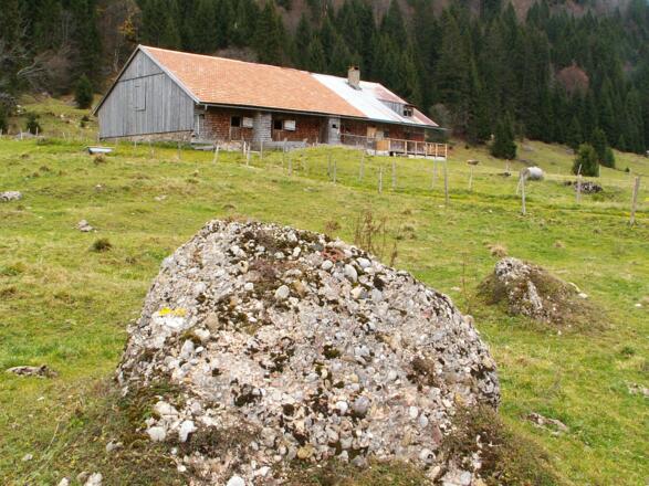 Die Vordere Au-Alpe im Gunzesrieder Tal.