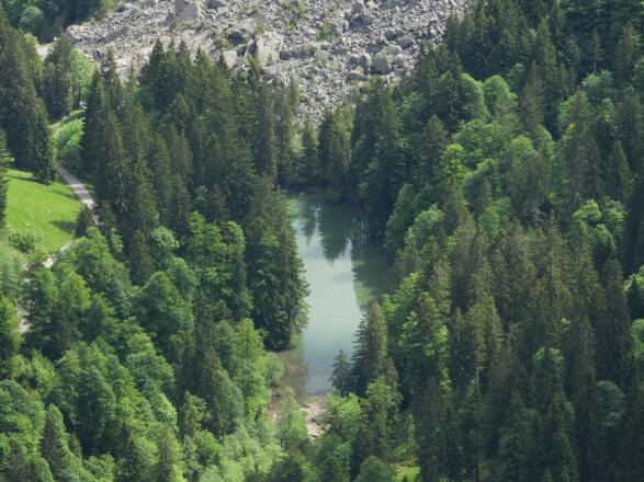 Blick in Richtung Siebratsgfäll