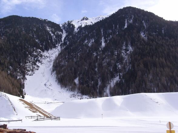 In dieser Richtung geht es los