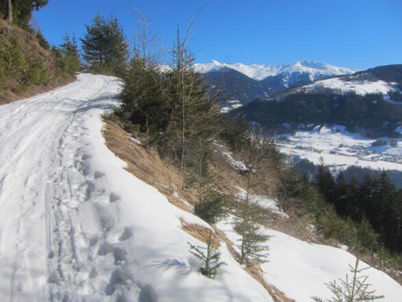 diesem folgen wir eine halbe Stunde