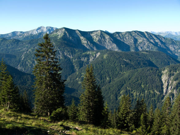 Ausblick von der Ableitenalm zu Blaubergkamm und Guffert
