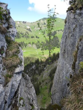 Dazwischen wieder Felstürme