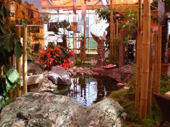 stein-oase-in-der-schmetterling-erlebniswelt