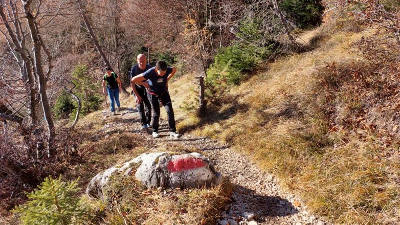 durch den Mischwald bergauf