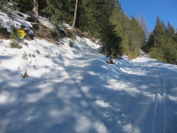 dann geht es  links auf dem Sommerweg weiter