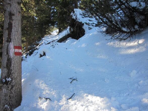 ein steileres Stück wird am Sommerweg überwunden