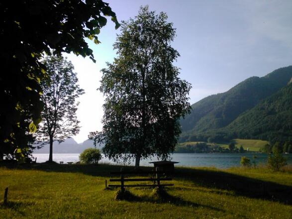 Unsere Badewiese