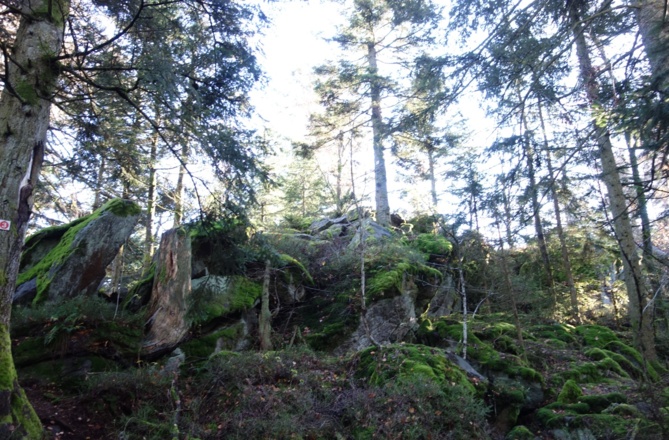 Aufstieg zum Burgstein