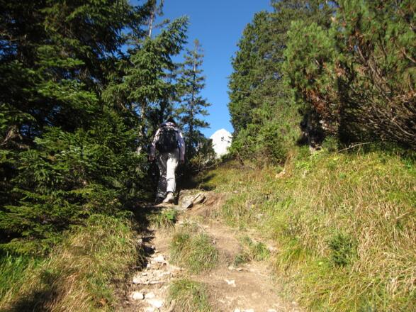 ... in den Wald und nach wenigen Kehren ...