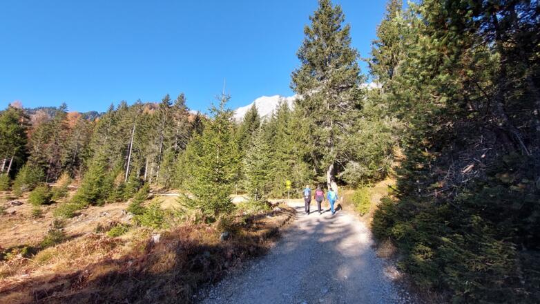 Start auf der Forststraße zum Straßberghaus