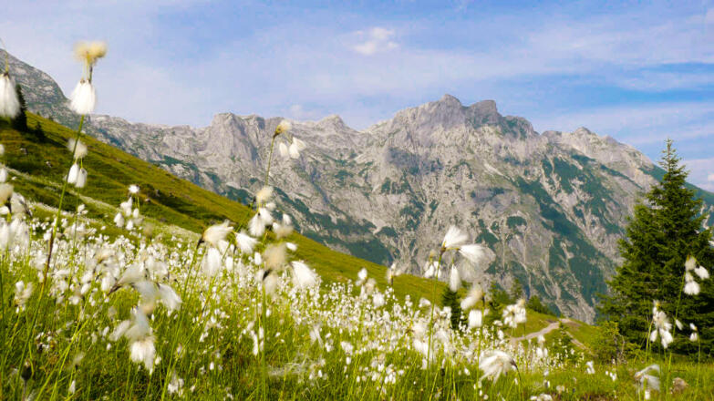 Die Natur genießen am Weg zur Werfenerhütte