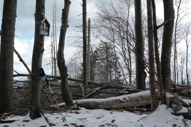 Zederbauernspitz (1.075 m)