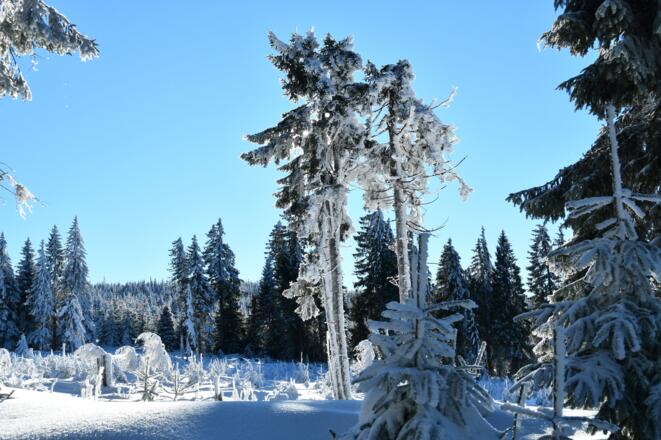 Winterstimmung im Böhmerwald