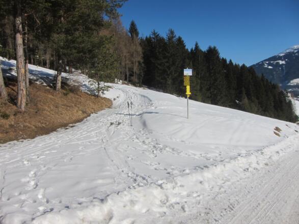 ein flacher Forstweg zweigt nach rechts ab