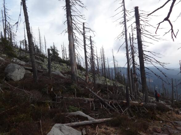 Weg zum Steinernen Meer