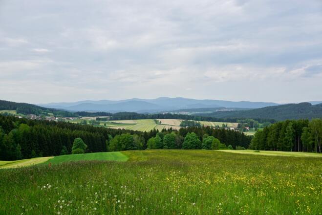 Gr. Arber von Dornhof-Zell
